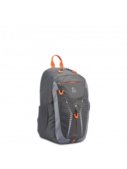 Roncato Pegasus backpack